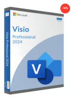 Microsoft Visio 2024 Professional (PC)